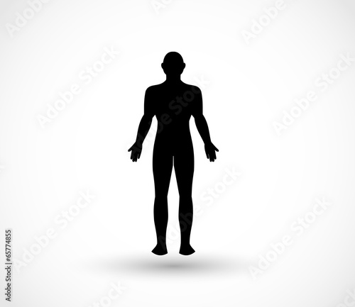 Human male body vector