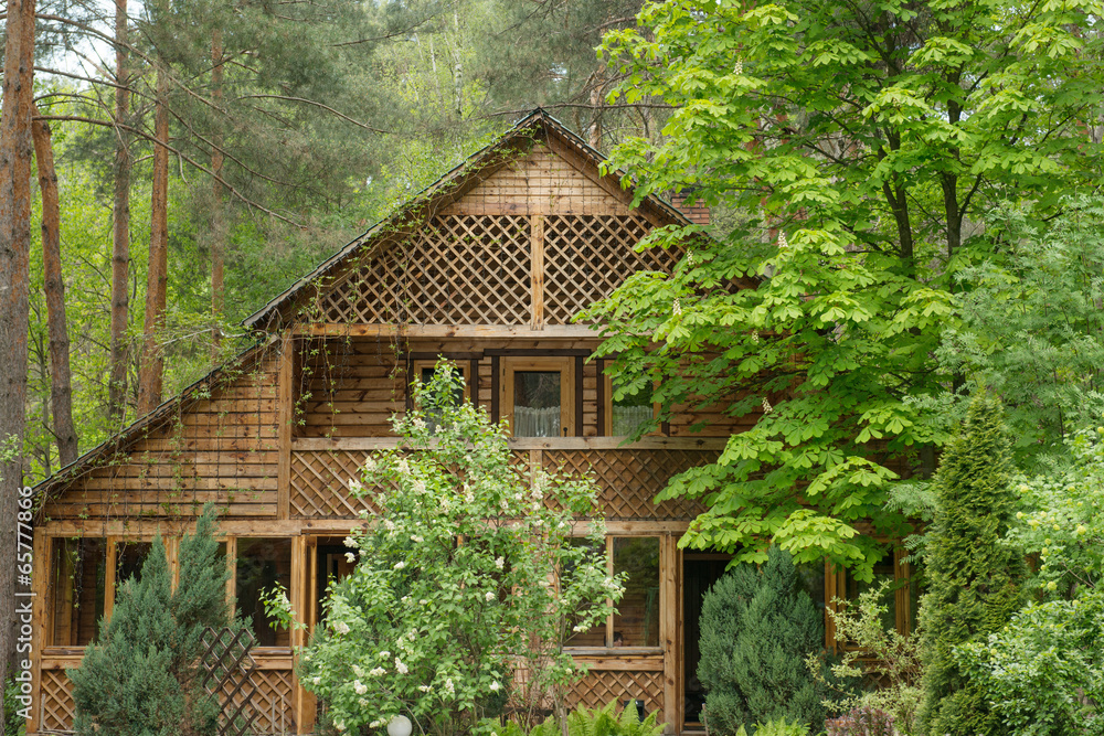 Cozy wooden house in the coniferous forest