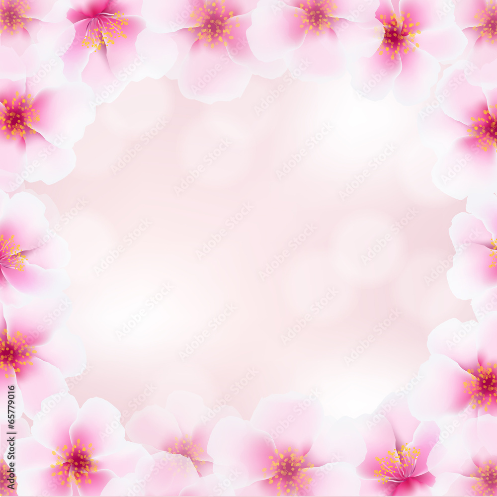 Cherry Flower Frame With Blurred Background