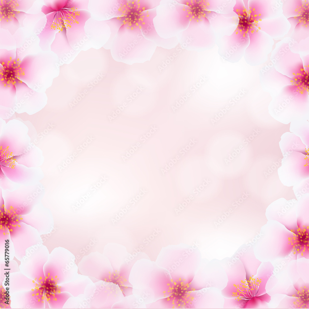 Cherry Flower Frame With Blurred Background Cherry Flower Frame With Blurred Background