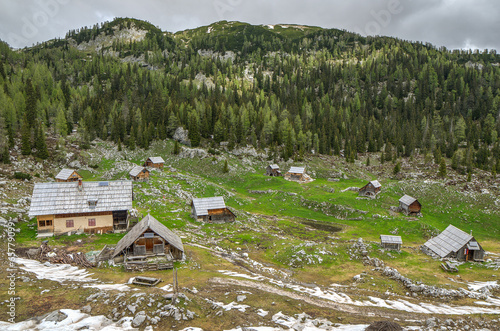 Dedno Polje Alpine Meadow in Bohinj photo