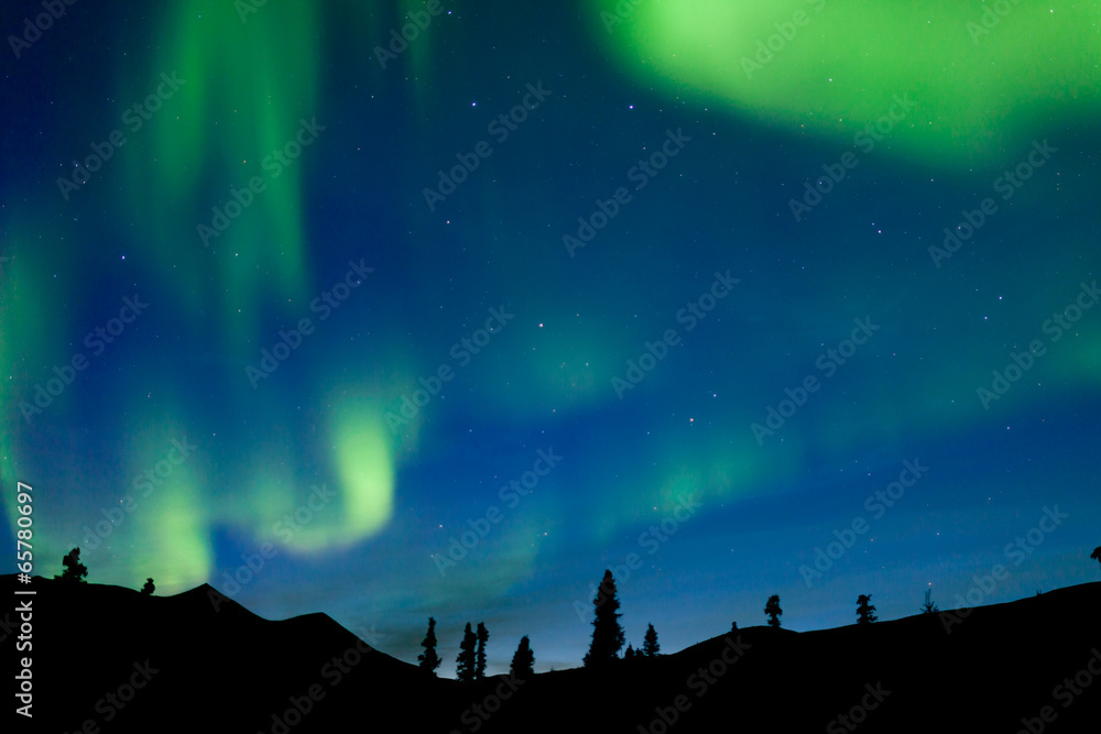 Dancing northern lights spruce taiga Yukon Canada