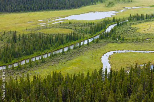 Fotografija Marshland river riparian wetland landscape