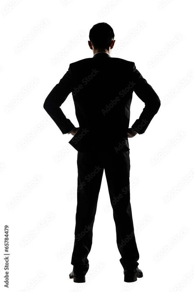rear view of business man standing