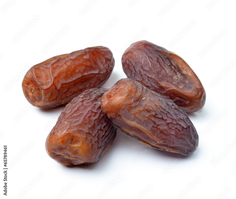 date palm white background date palm white background