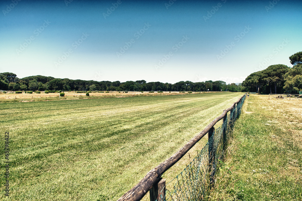 Beautiful park with horse race track