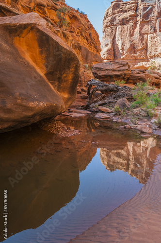 Pool of water - Hunter Canyon Hiking Trail Moab Utah