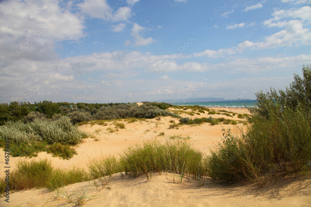 Sand dunes near the sea.