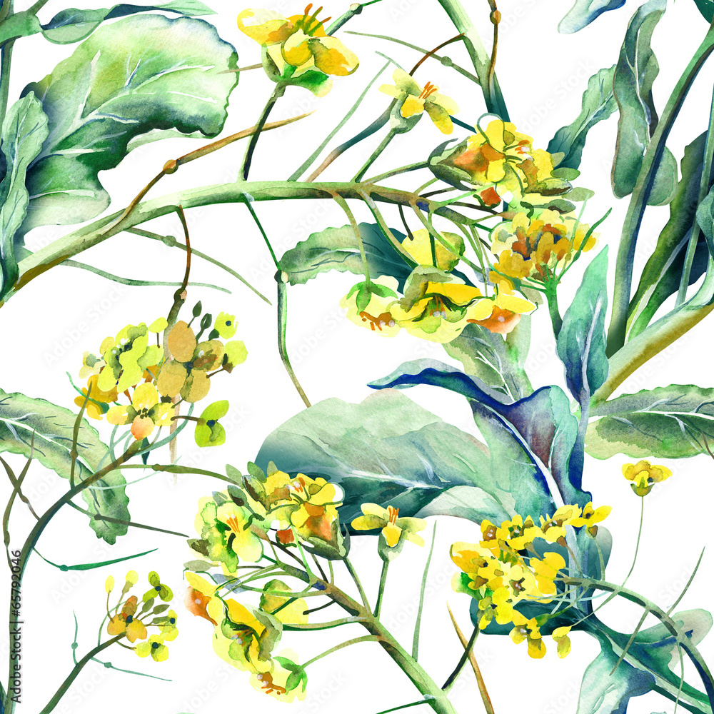 Obraz premium Rapeseed Seamless Pattern