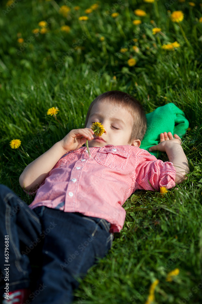 Cute little boy in a dandelion field, having fun Cute little boy in a dandelion field, having fun
