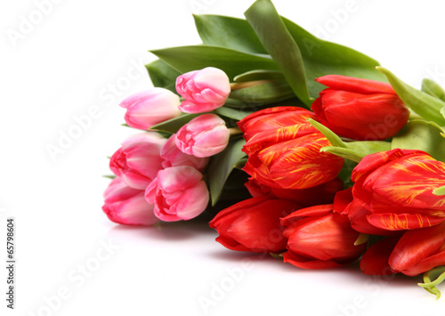 Wallpaper Mural Osterstrauß Torontodigital.ca