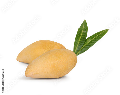 mangoes against white background for your healthy designs