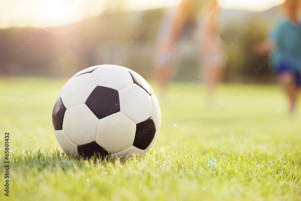 Fototapeta premium Soccer ball