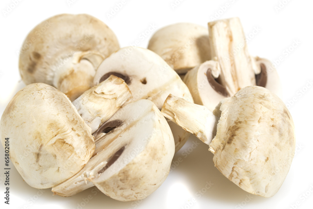 Mashrooms isolated on white background