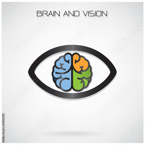 brain and vision concept