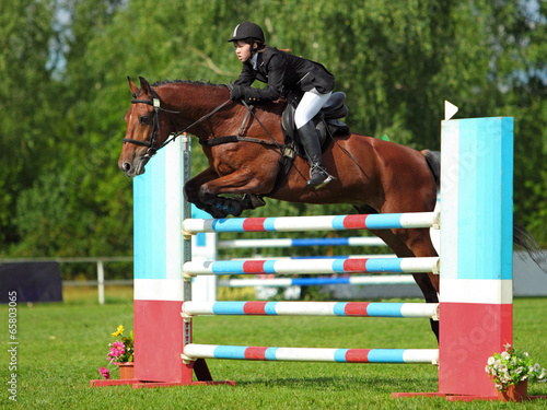 A horse show jumper in mid-air