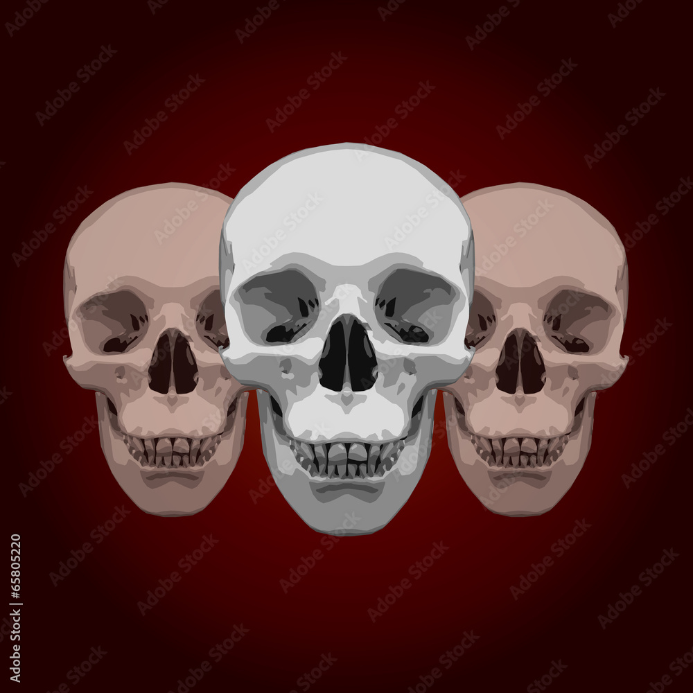 White skull White skull