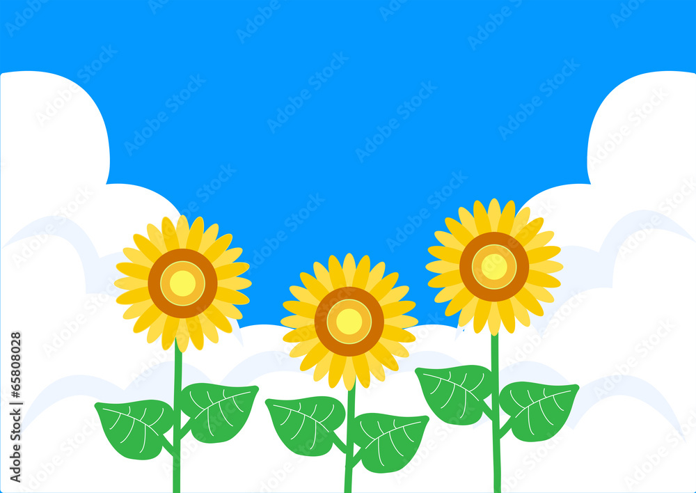 sunflower cloud summer sunflower cloud summer