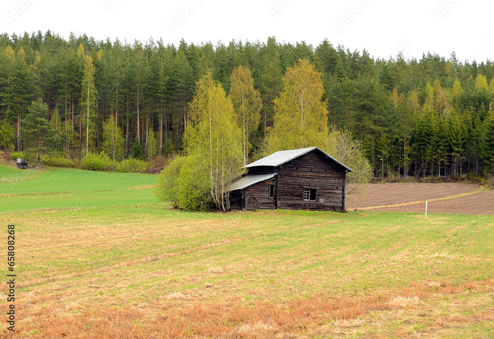 An abandoned farmhouse on a farm in Finland