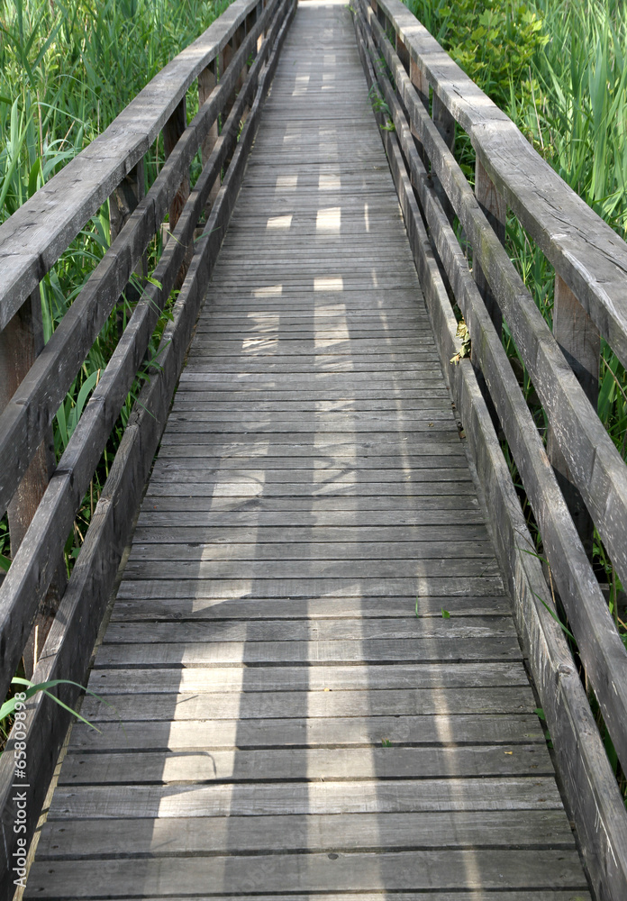 wooden walkway in the reeds of a naturalistic Park 4