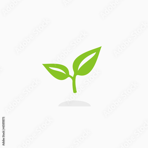Green leaves