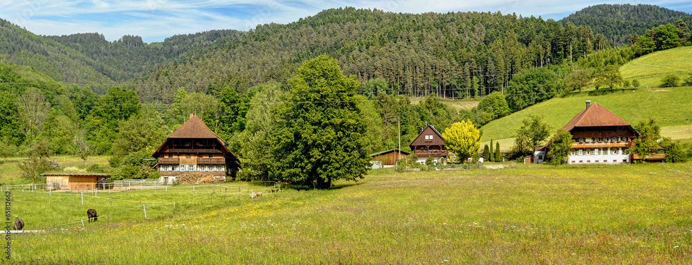 Obraz premium Frühling im Schwarzwald