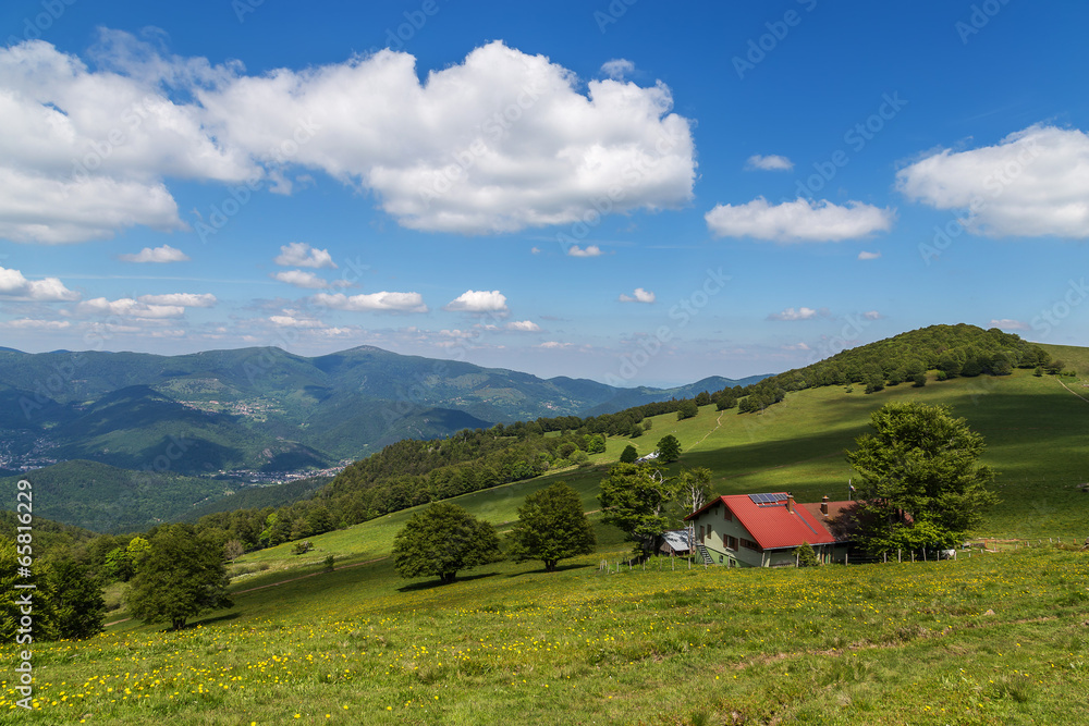 paysage Alsacien
