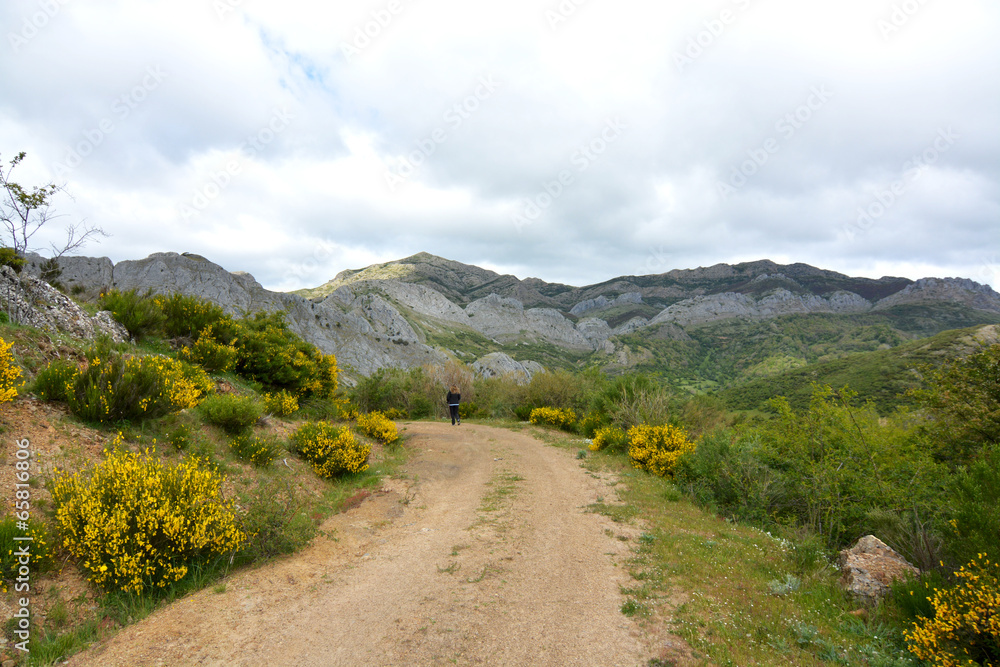 camino de montaña en los picos de europa camino de montaña en los picos de europa