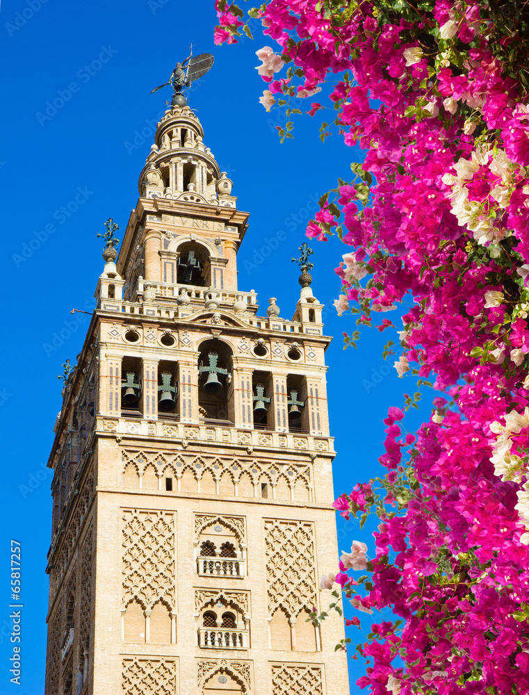 Fototapeta premium Bell tower Giralda, Seville, Spain