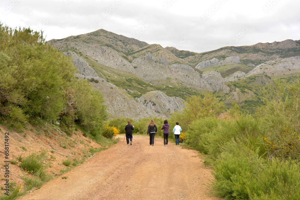 mujeres caminando por un camino de montaña