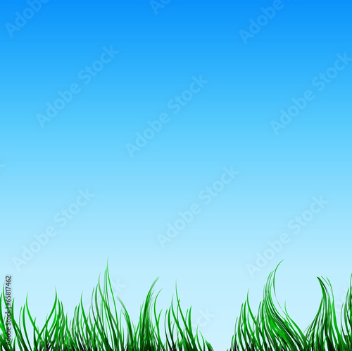Green grass and a blue sky