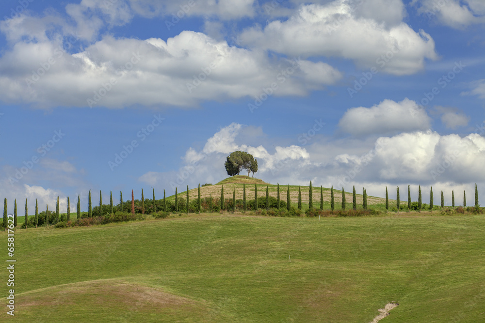 Fototapeta premium Zypressen, Hügel, Toskana