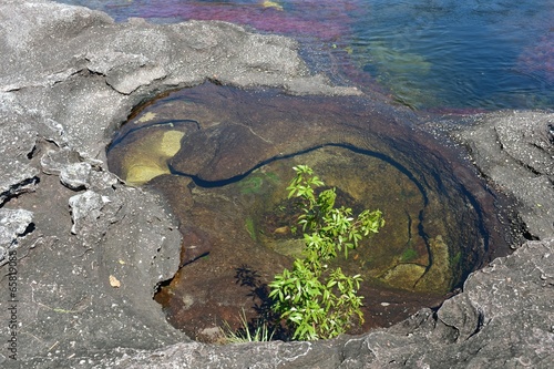 Canio Cristales mountain river. Colombia photo