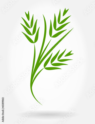 wheat ears vector background