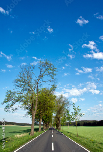 Brandenburger Allee photo