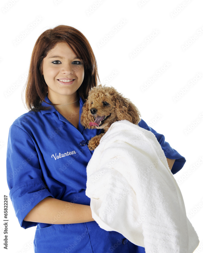 Vet Volunteer with Patient Vet Volunteer with Patient