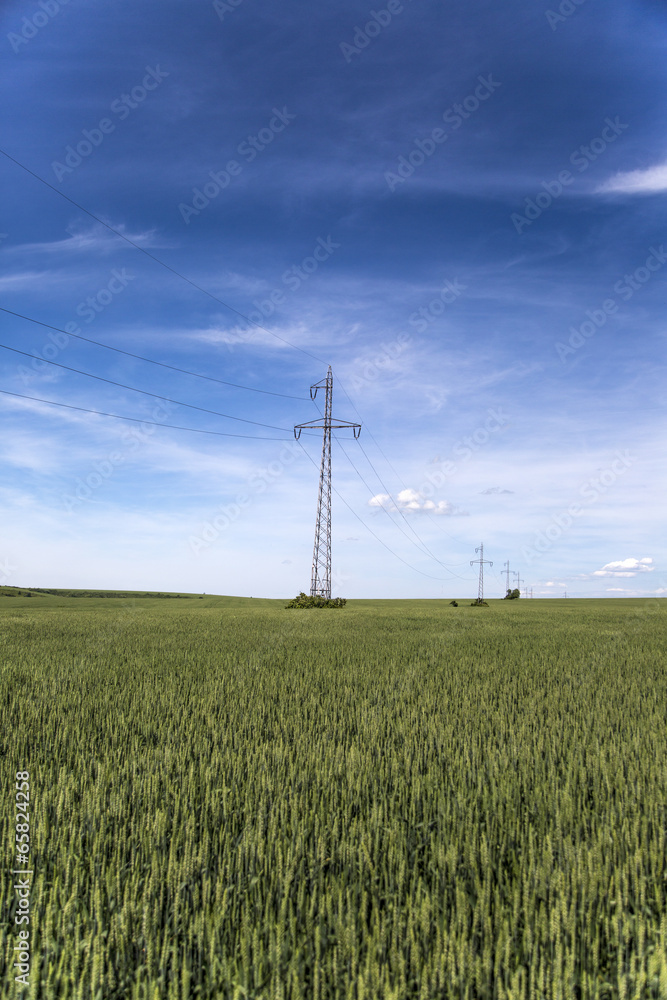 Power lines in the field Power lines in the field