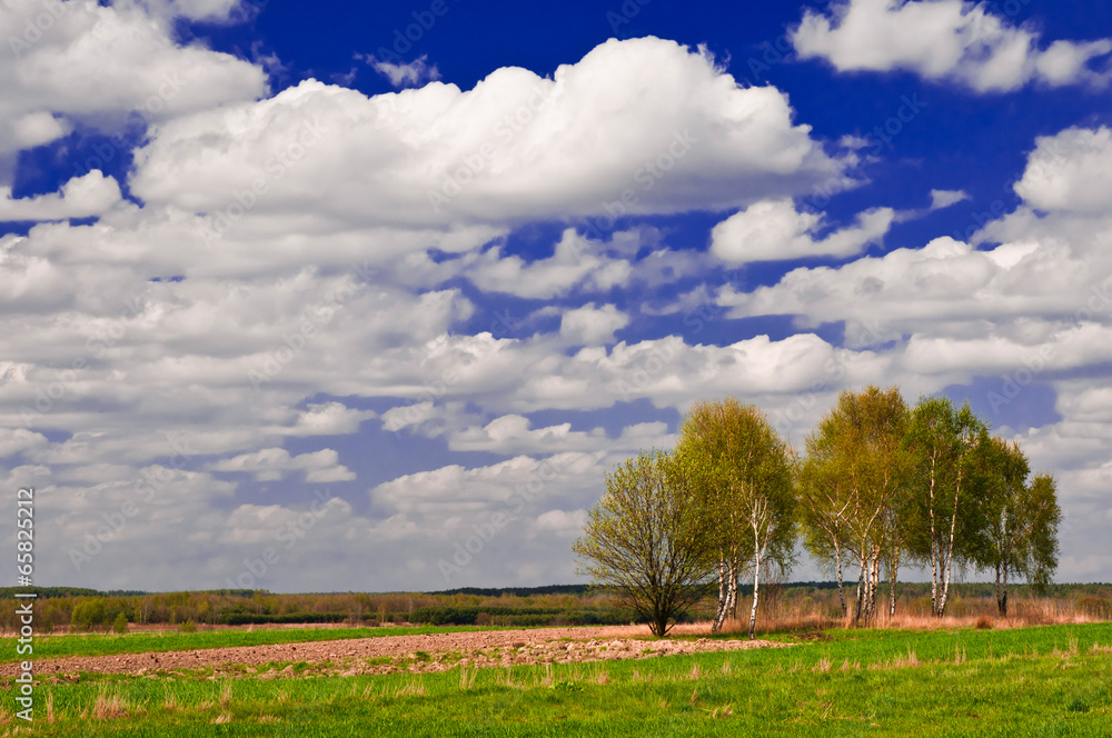 Fototapeta premium Piękny wiejski krajobraz z białymi chmurami na niebie