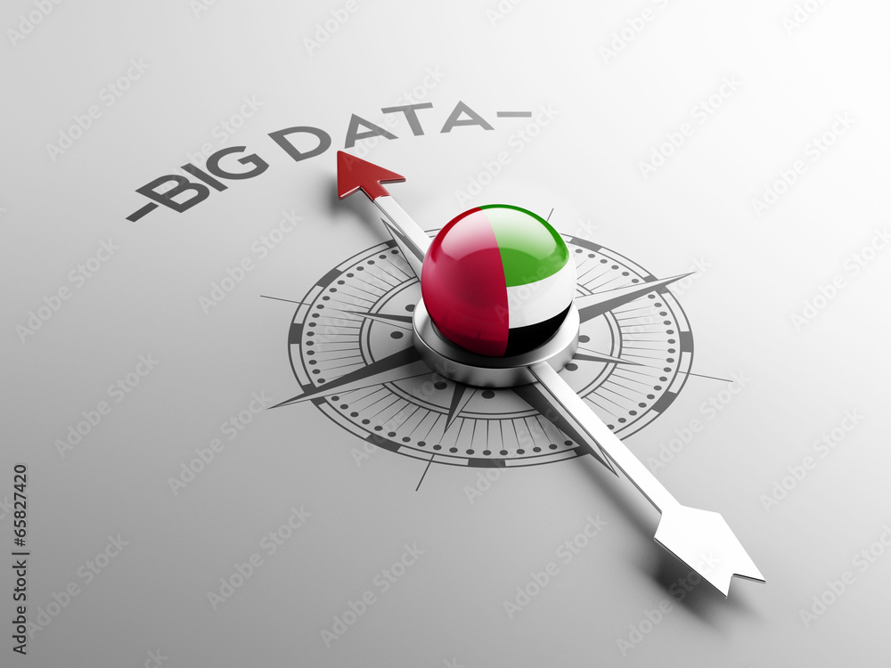 Fototapeta premium United Arab Emirates. Big Data Concept