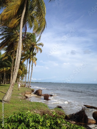 gabon libreville balade sans la cocoteraie photo