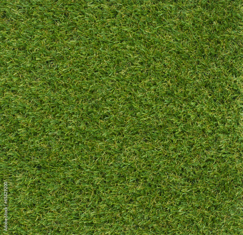 green grass veers Square background