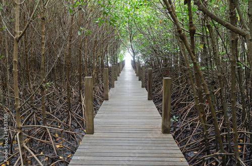 Light at the end of walkway in mangrove forest ,chanthaburi thai