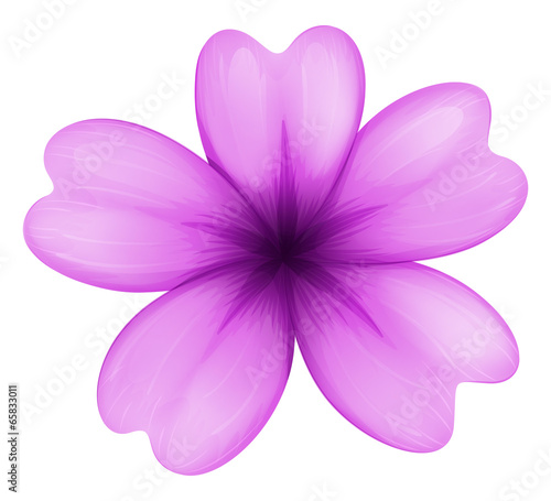 Fototapeta Naklejka Na Ścianę i Meble -  A lavender flower