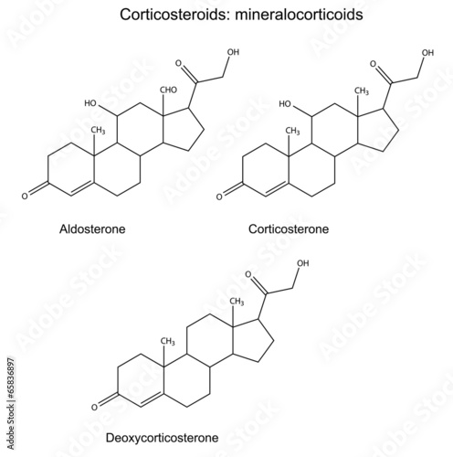 Chemical formulas of corticosteroids - mineralocorticoids photo