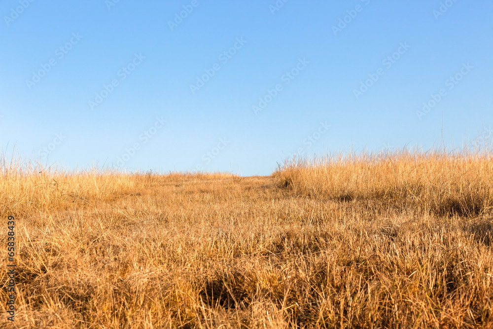 Grasslands Plateau Horizon Blue Wilderness Grasslands Plateau Horizon Blue Wilderness