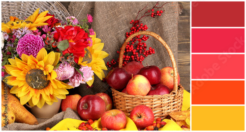Autumn still life with apples. Color palette with complimentary
