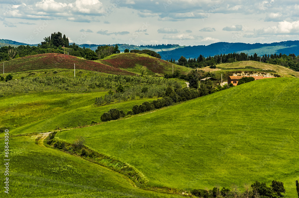 Sienesi Hills
