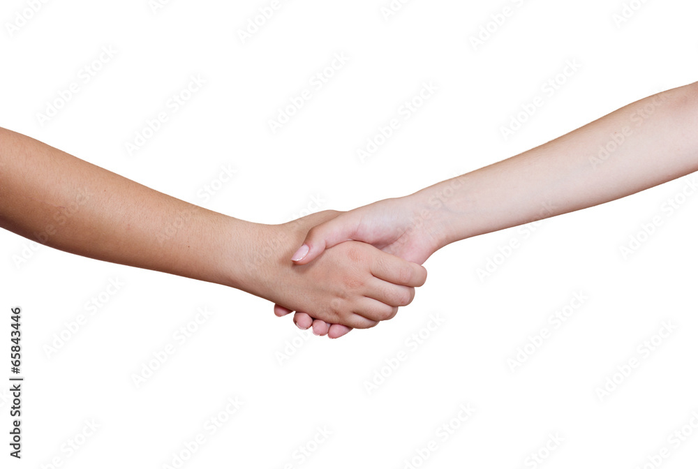 Female handshake isolated on white