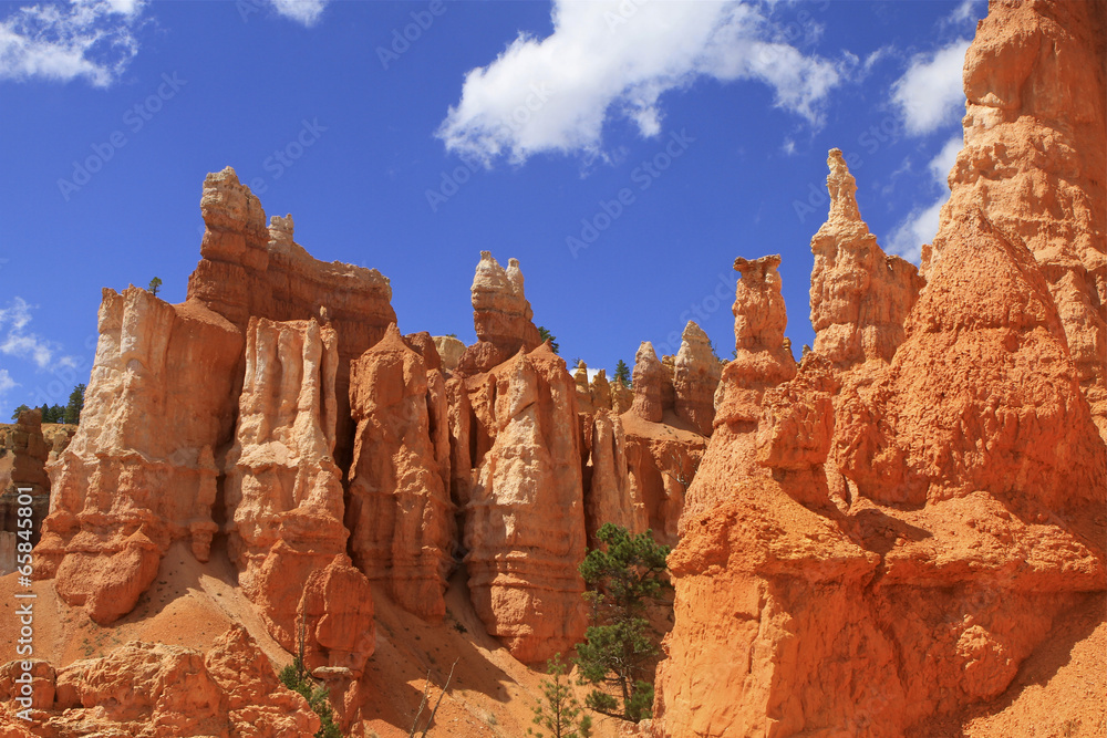 Fototapeta premium hoodoos de Queen's garden trail, Bryce canyon