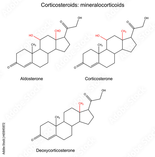 Structural formulas of corticosteroids - mineralocorticoids